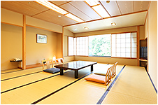 Japanese style 15-mat room